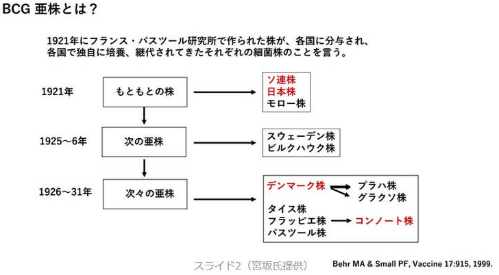 注射 いつ ハンコ